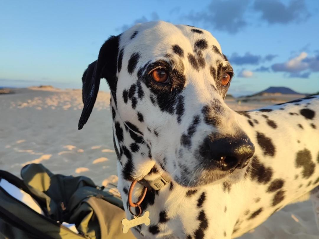 Alojamiento Fuerteventura Tikuna La Oliva Exterior foto